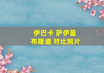 伊巴卡 萨伊蓝 布隆迪 对比照片